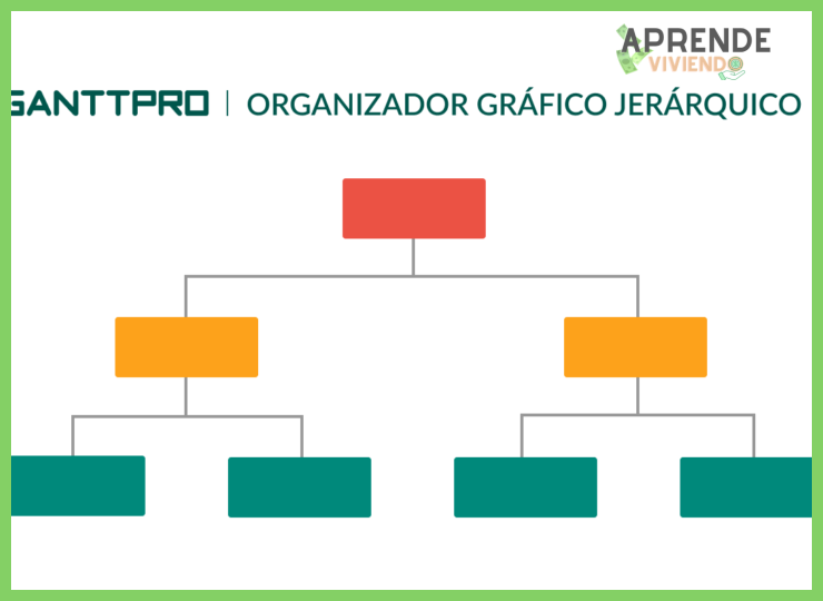 5. Ejemplo de estructura y categorías básicas