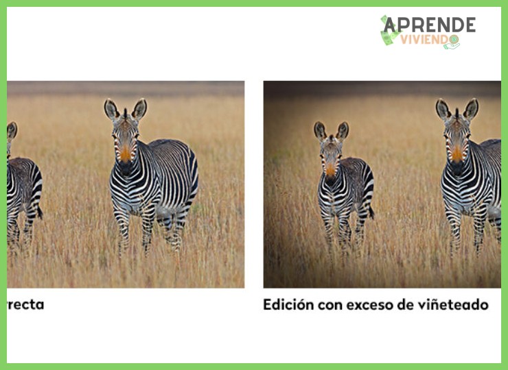 5. Errores Comunes que Todo Principiante Debe Evitar