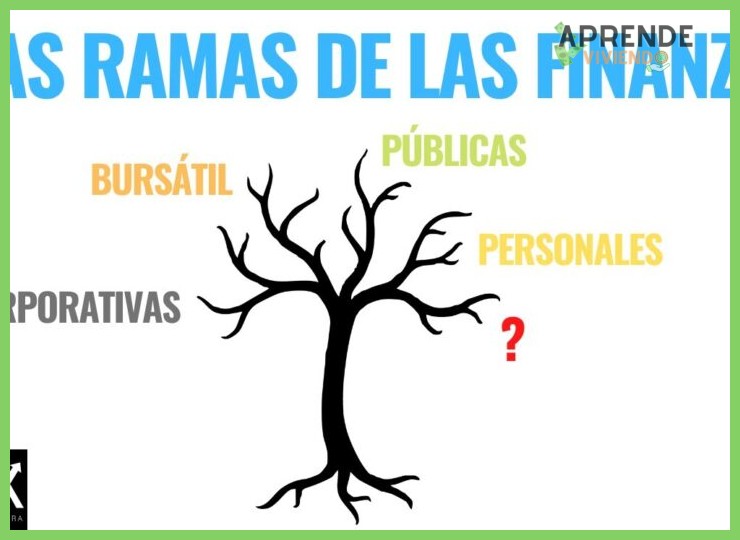 ¿Cuáles son las cuatro grandes áreas o ramas de las finanzas que un principiante debe distinguir para entender el campo general?