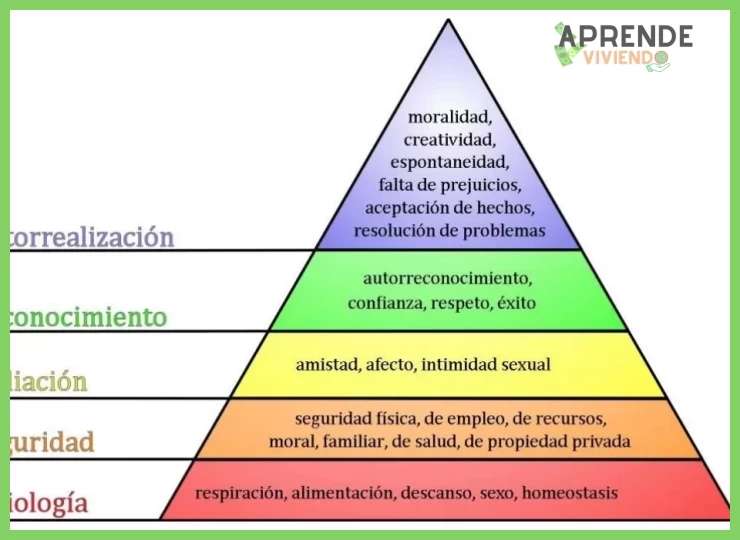 ¿Qué principio fundamental debe priorizar una persona que da sus primeros pasos en el mundo de las criptomonedas y el trading para proteger su capital?